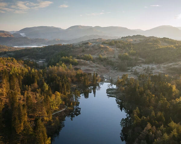 Aerial view over Tarn Hows at dawn, Lake District National Park