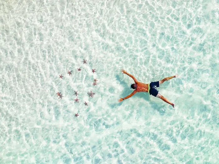 Framed Print : Aerial view of tourist admiring the colorful starfish snorkeling in the turquoise lagoon, Zanzibar, Tanzania, East Africa, Africa Framed Print : Aerial view of tourist admiring the colorful starfish snorkeling in the turquoise lagoon, Zanzibar, Tanzania, East Africa, Africa