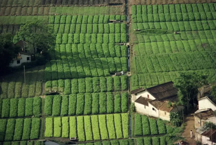 Framed Print : Aerial view of typical vegetable plots, irrigation and manure pits in Guangdong Province