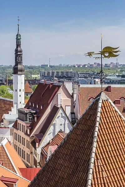 Aerial view of the walled part of Old Town, UNESCO World Heritage Site, in the capital city of Tallinn, Estonia, Europe