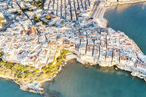 Aerial view of white buildings of Vieste by the crystal sea, Foggia province