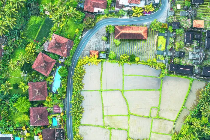 Framed Print : Aerial view of a winding road through paddy fields and traditional rural houses, Ubud, Bali, Indonesia Framed Print : Aerial view of a winding road through paddy fields and traditional rural houses, Ubud, Bali, Indonesia