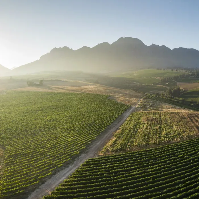 Framed Print : Aerial view of wine vineyards near Stellenbosch, Western Cape, South Africa, Africa Framed Print : Aerial view of wine vineyards near Stellenbosch, Western Cape, South Africa, Africa