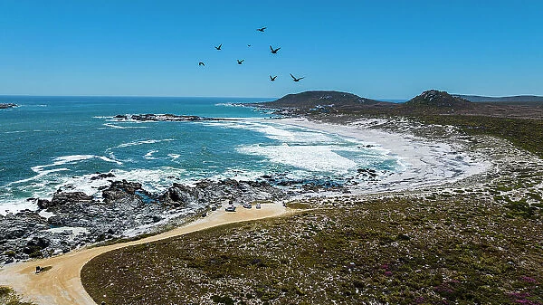 Aerial of a white sandy beach, West Coast National Park, Western Cape Province, South Africa, Africa