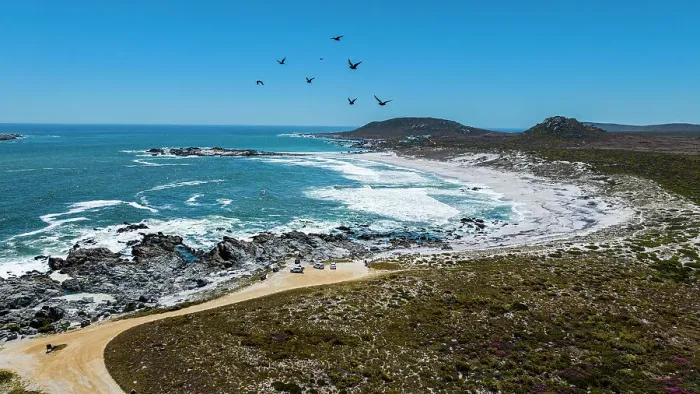 Framed Print : Aerial of a white sandy beach, West Coast National Park, Western Cape Province, South Africa, Africa Framed Print : Aerial of a white sandy beach, West Coast National Park, Western Cape Province, South Africa, Africa