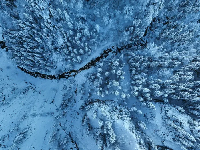 Framed Print : Aerial of a winter forest, Schwangau, Fussen, Swabia, Bavarian Alps, Bavaria, Germany, Europe Framed Print : Aerial of a winter forest, Schwangau, Fussen, Swabia, Bavarian Alps, Bavaria, Germany, Europe