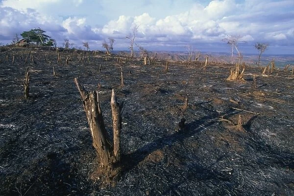 The aftermath of traditional slash and burn on hilltop near Kuta, south coast