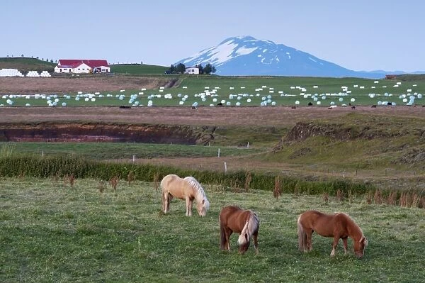 Agricultural land at the foot of the mighty volcano Hekla, north of Hella