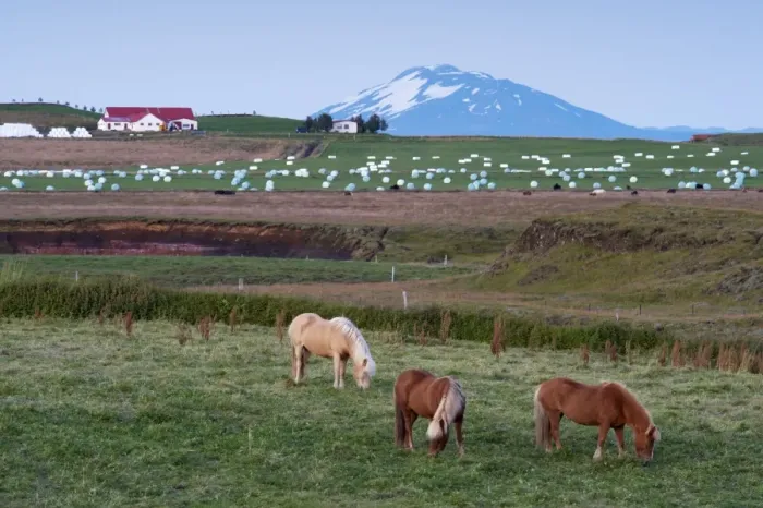Framed Print : Agricultural land at the foot of the mighty volcano Hekla, north of Hella Framed Print : Agricultural land at the foot of the mighty volcano Hekla, north of Hella