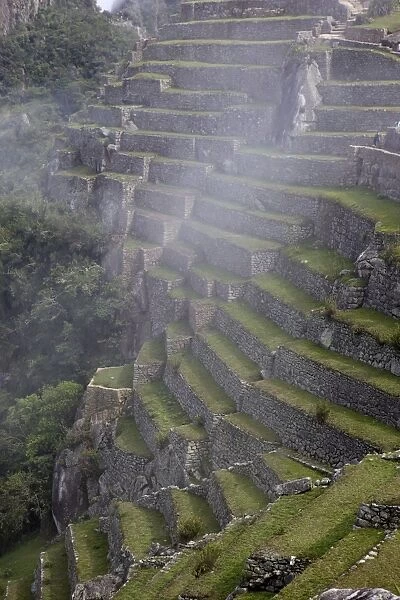 Agricultural terraces in the Inca city, Machu Picchu, UNESCO World Heritage Site, Peru, South America