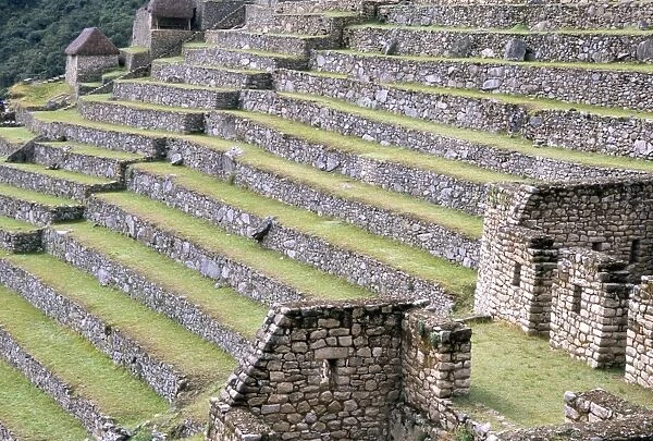 Agricultural terraces in ruins of Inca site