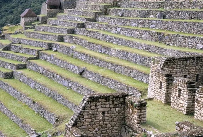 Framed Print : Agricultural terraces in ruins of Inca site Framed Print : Agricultural terraces in ruins of Inca site