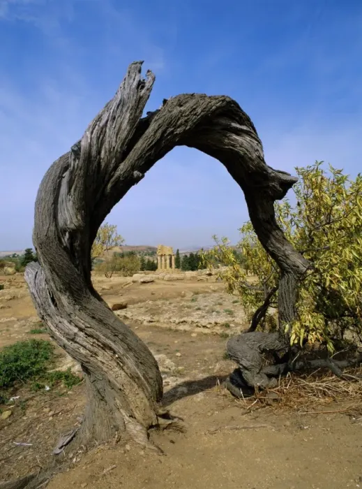 Framed Print : Agrigento, UNESCO World Heritage Site Framed Print : Agrigento, UNESCO World Heritage Site