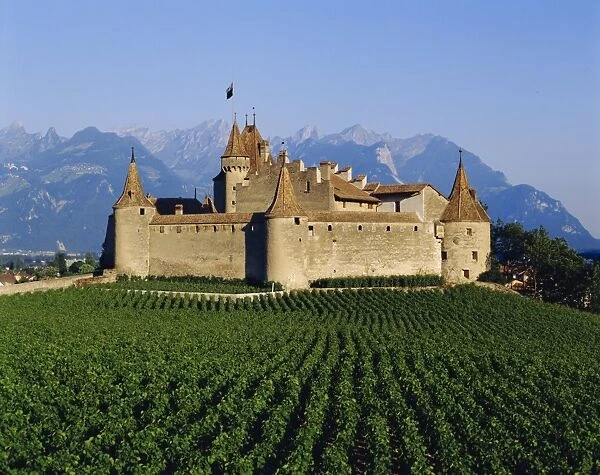 Aigle Chateau and vineyard