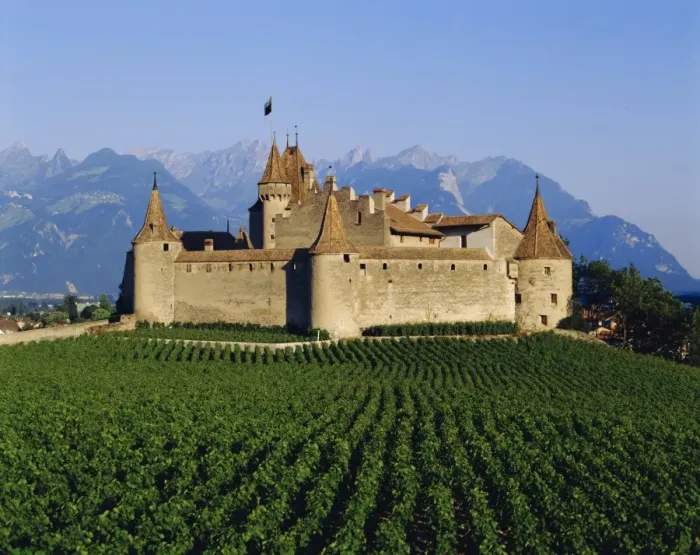 Framed Print : Aigle Chateau and vineyard Framed Print : Aigle Chateau and vineyard
