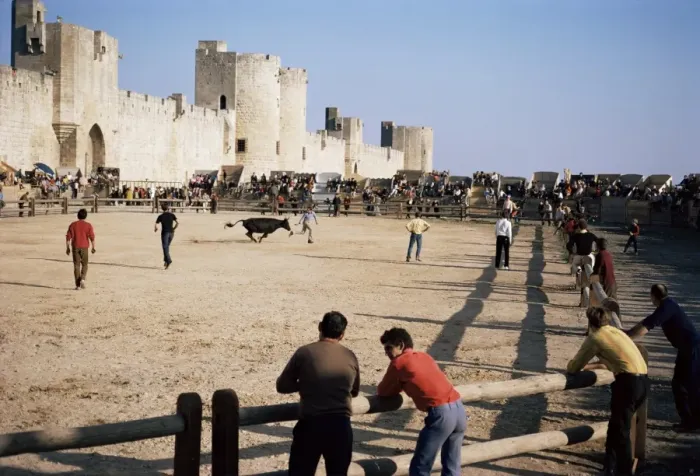 Framed Print : Aigues Mortes, Camargue, Provence, France, Europe Framed Print : Aigues Mortes, Camargue, Provence, France, Europe