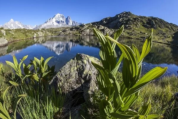 Aiguille Verte from Lac des Cheserys, Haute Savoie, French Alps, France, Europe