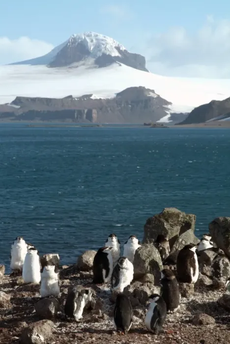 Framed Print : Aitcho Island, Antarctica, Polar Regions Framed Print : Aitcho Island, Antarctica, Polar Regions