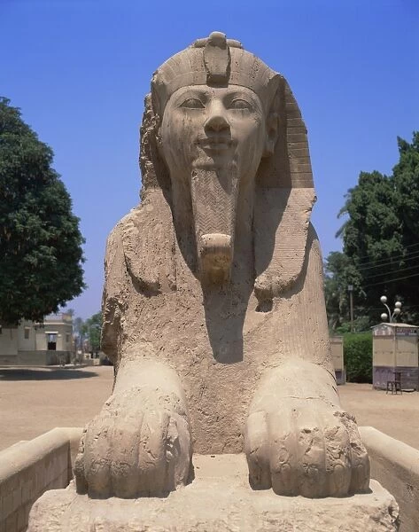 The alabaster Sphinx of Amon-Ofis II, Memphis, Egypt, North Africa, Africa