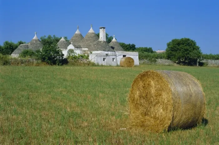 Framed Print : Alberobello region Framed Print : Alberobello region