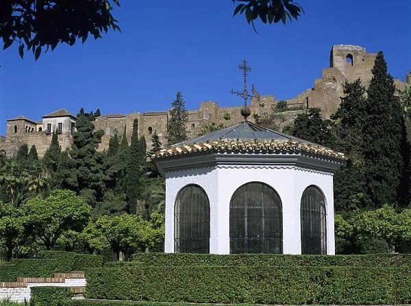 Alcazaba viewed from gardens, Malaga, Andalucia, Spain, Europe