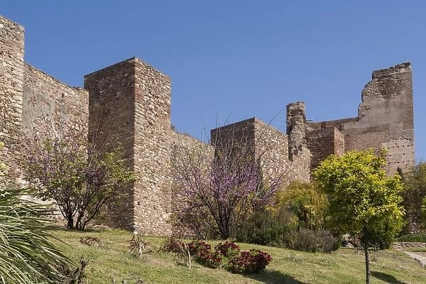 Alcazaba walls, Malaga, Andalucia, Spain, Europe