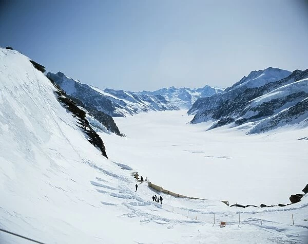 The Aletsch Glacier from Jungfraujoch