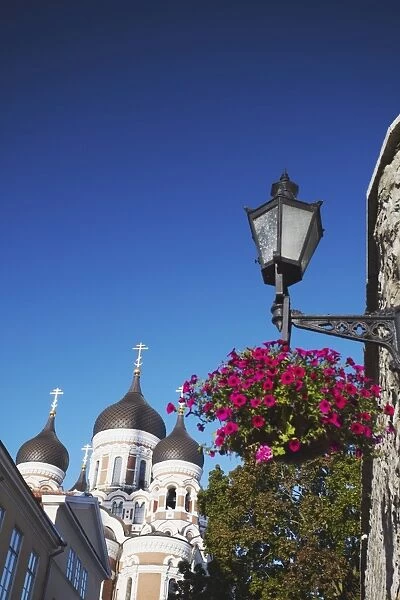 Alexander Nevsky Cathedral, Toompea, Tallinn, Estonia, Baltic States, Europe