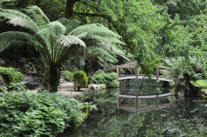 Framed Print : Alfred Nicholas Gardens, Dandenong Ranges National Park, Dandenong Ranges Framed Print : Alfred Nicholas Gardens, Dandenong Ranges National Park, Dandenong Ranges