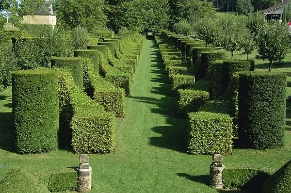 Allee des charmes, Les Jardins d Eyrignac, Dordogne, Perigord, Aquitaine