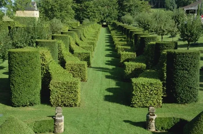 Framed Print : Allee des charmes, Les Jardins d Eyrignac, Dordogne, Perigord, Aquitaine Framed Print : Allee des charmes, Les Jardins d Eyrignac, Dordogne, Perigord, Aquitaine