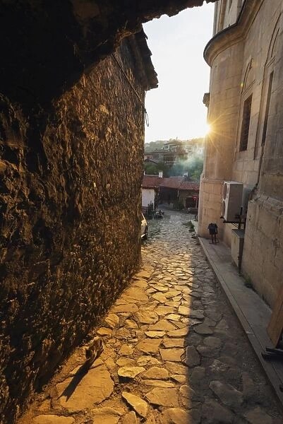 Alley cat at sunset, UNESCO World Heritage Site, Safranbolu, Central Anatolia, Turkey