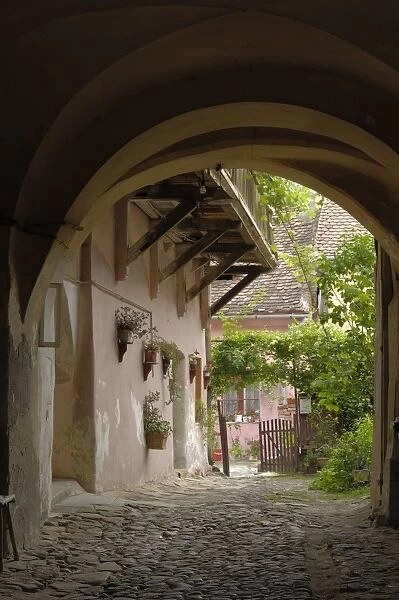 Alleyway, Sighisoara, Transylvania, Romania, Europe