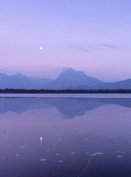 Allgau Alps reflecting in Hopfensee Lake at moonrise, near Fussen, Allgau, Bavaria, Germany, Europe