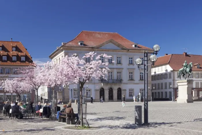 Framed Print : Almond blossom, Market Place and Town Hall, Landau, Deutsche Weinstrasse (German Wine Road), Rhineland-Palatinate, Germany, Europe Framed Print : Almond blossom, Market Place and Town Hall, Landau, Deutsche Weinstrasse (German Wine Road), Rhineland-Palatinate, Germany, Europe