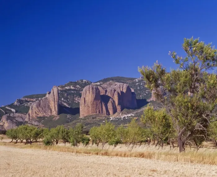 Framed Print : Almond trees below the Los Mallos rock pillars at Riglos, Aragon, Spain, Europe