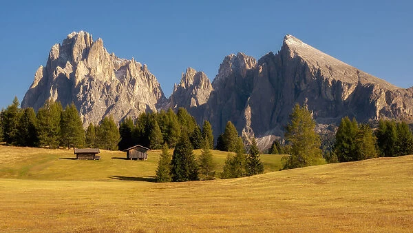 Alpe Di Siusi, Seiser Alm, South Tyrol, Dolomites, Italy, Europe