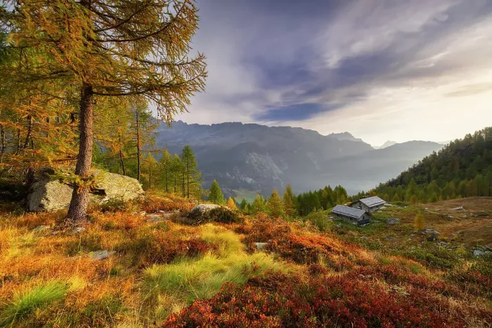 Framed Print : Alpine bivouac at Lagazzuolo lake at sunrise during autumn, Chiesa di Valmalenco, Sondrio, Lombardy, Italy, Europe Framed Print : Alpine bivouac at Lagazzuolo lake at sunrise during autumn, Chiesa di Valmalenco, Sondrio, Lombardy, Italy, Europe