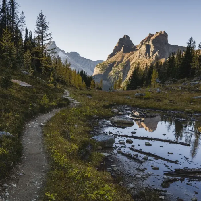 Framed Print : The Alpine Circuit Trail at Lake O Hara, Yoho National Park, UNESCO World Heritage Site Framed Print : The Alpine Circuit Trail at Lake O Hara, Yoho National Park, UNESCO World Heritage Site