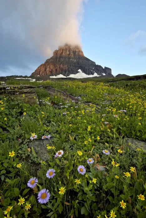 Framed Print : Alpine meadow, Glacier National Park, Montana, United States of America, North America Framed Print : Alpine meadow, Glacier National Park, Montana, United States of America, North America