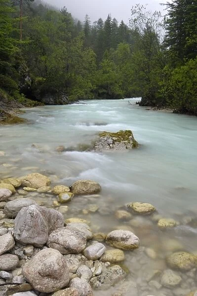 Alpine river, T. Boite, near Cortina D Ampezzo, Dolomites, Veneto, Italy, Europe