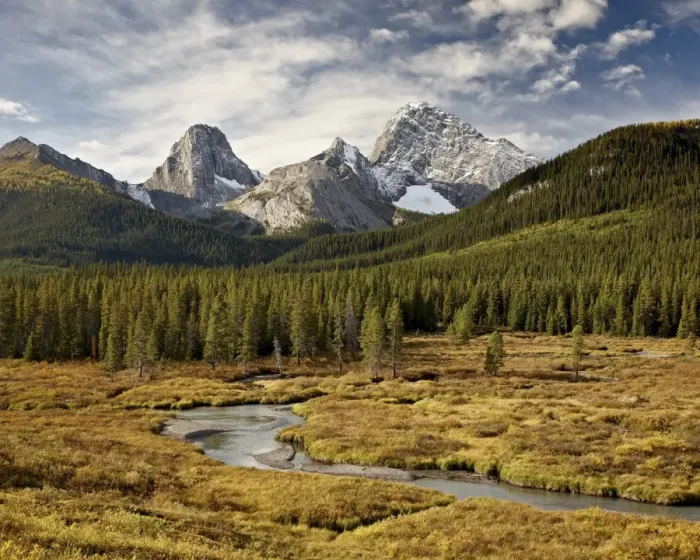Framed Print : Alpine scene in the fall with Smutts Creek, Commonwealth Peak on left, Pigs Tail (Sharks Tooth) in the center and Mount Birdwood on the right, Peter Lougheed Provincial Park, Kananaskis Country, Alberta, Canada, North America