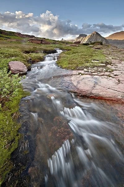 Alpine stream, Glacier National Park, Montana, United States of America, North America