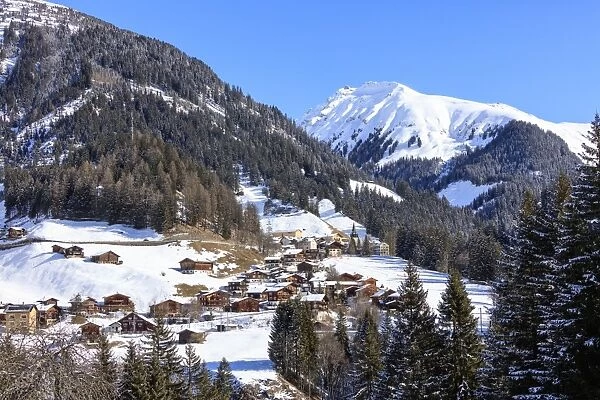 The alpine village of Langwies framed by woods and snowy peaks, district of Plessur