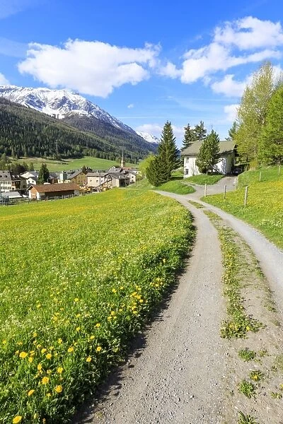 Alpine village of S-chanf surrounded by green meadows in spring, Canton of Graubunden