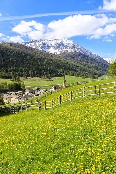 Alpine village of S-chanf surrounded by green meadows in spring, Canton of Graubunden