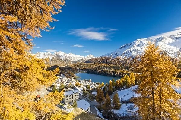 The alpine village of St. Moritz framed by colorful woods and the blue lake, Canton of Graubunden
