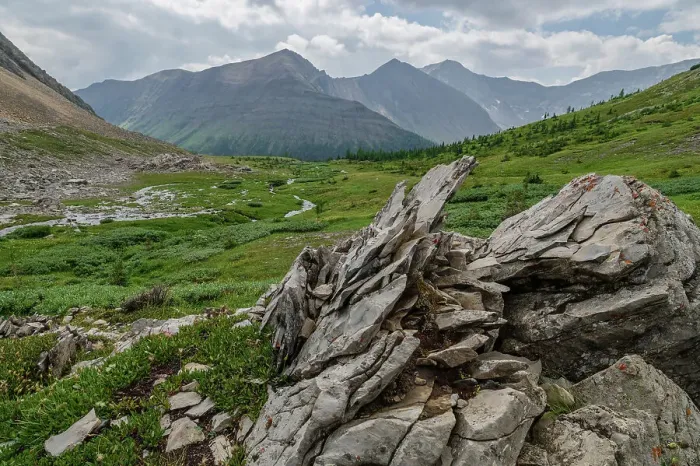 Framed Print : Alpine wildflower meadows along the Ptarmigan Cirque Trail in summer, Mount Arethusa, Kananaskis Country, Alberta, Canadian Rockies, Canada, North America Framed Print : Alpine wildflower meadows along the Ptarmigan Cirque Trail in summer, Mount Arethusa, Kananaskis Country, Alberta, Canadian Rockies, Canada, North America