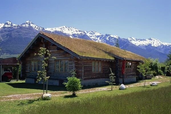 Alternative housing with grass roofing