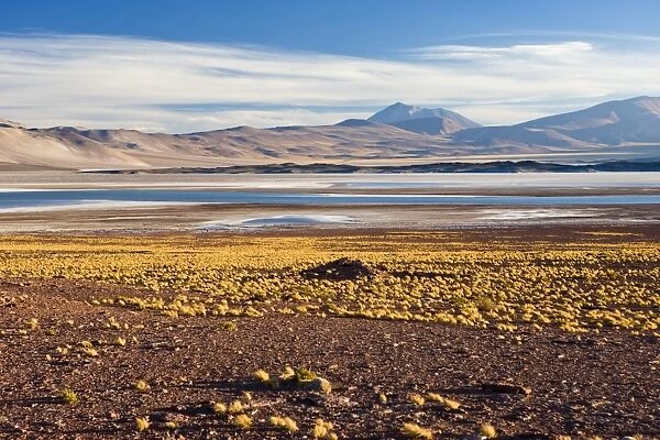 The altiplano at an altitude of over 4000m looking over the salt lake Laguna de Tuyajto
